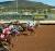 galleries_pictures|ruidoso_downs.jpg